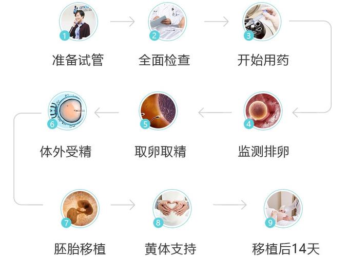 供卵试管代怀是什么-供卵试管代怀：解析未来生育选择