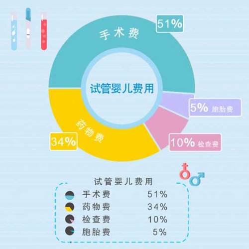 供卵试管代怀指南【供卵试管代怀指南：一步步教你如何选择和进行医疗过程】