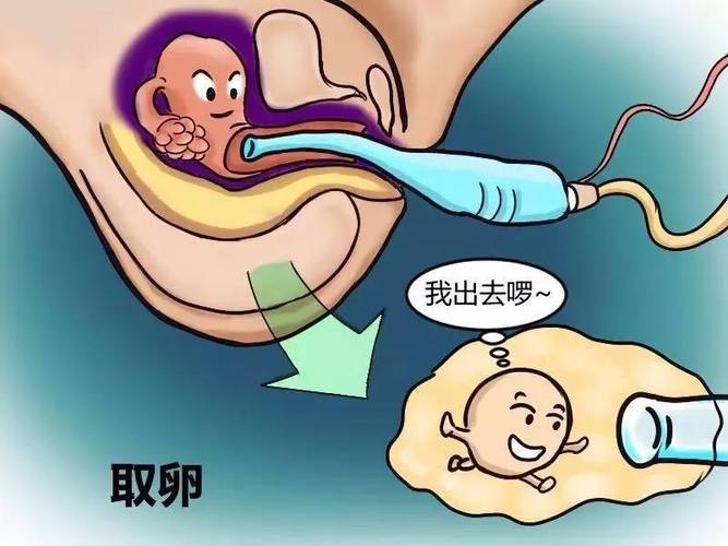 供卵试管代怀找哪家好_供卵试管代怀哪家好？